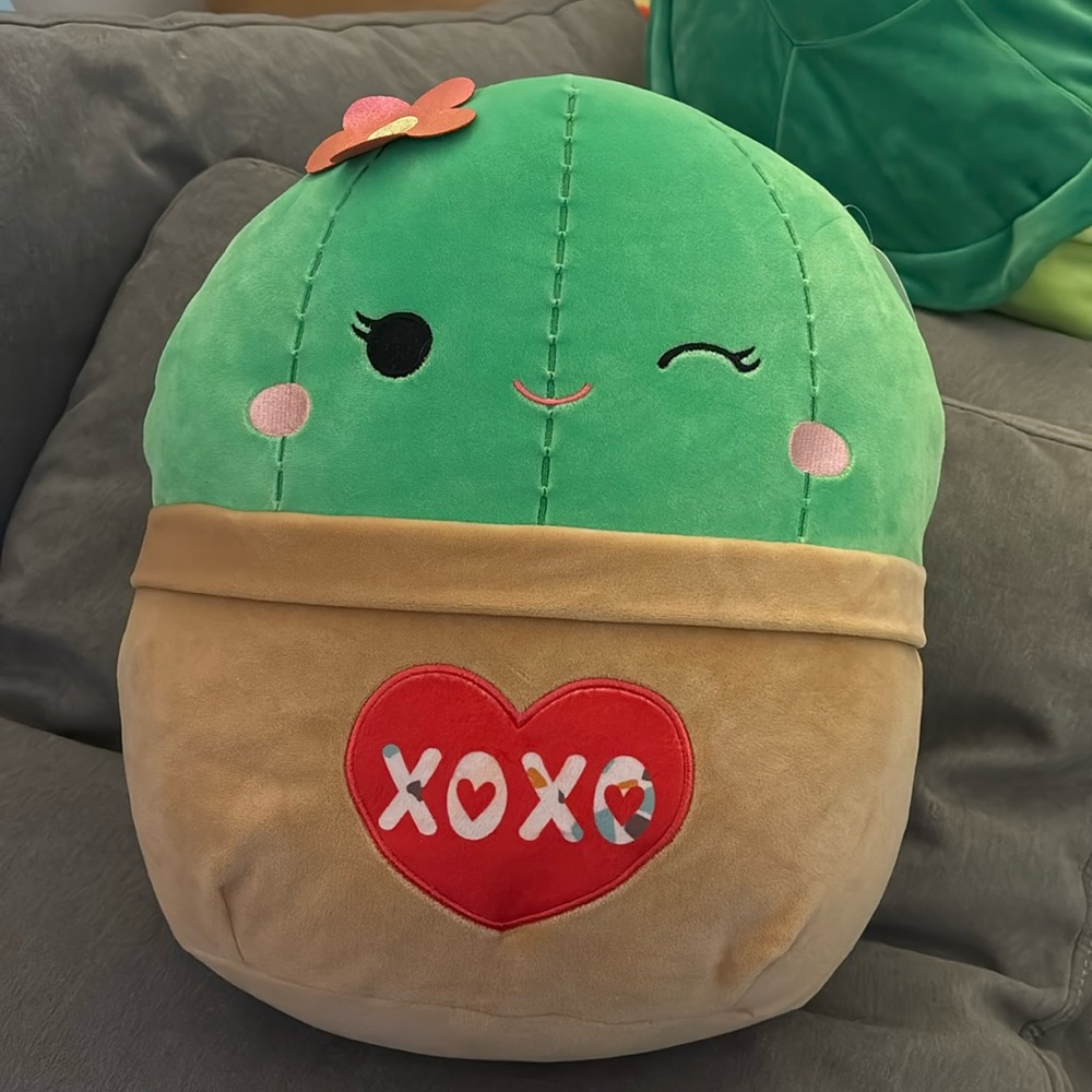 Shadi cactus valentines squishmallow